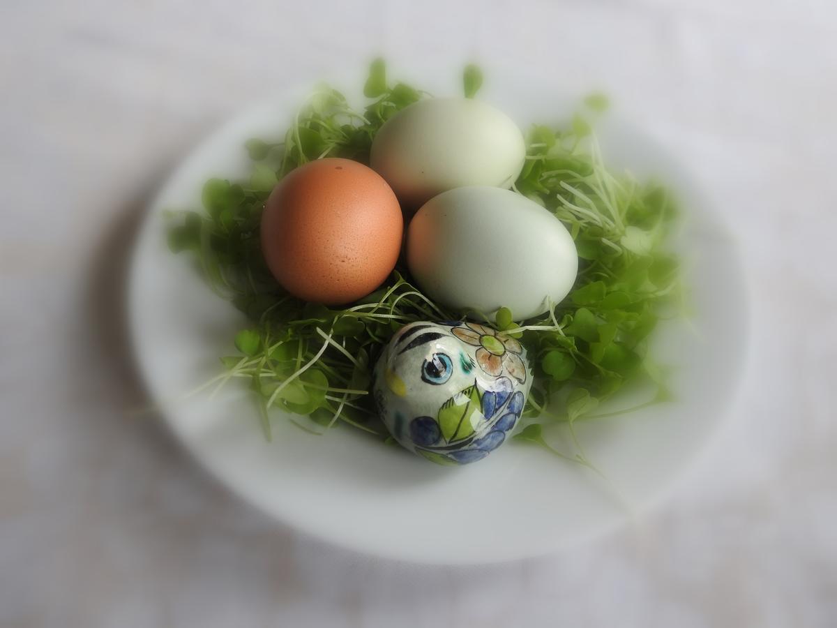 The Empty Nest B & B Carrying Place Εξωτερικό φωτογραφία